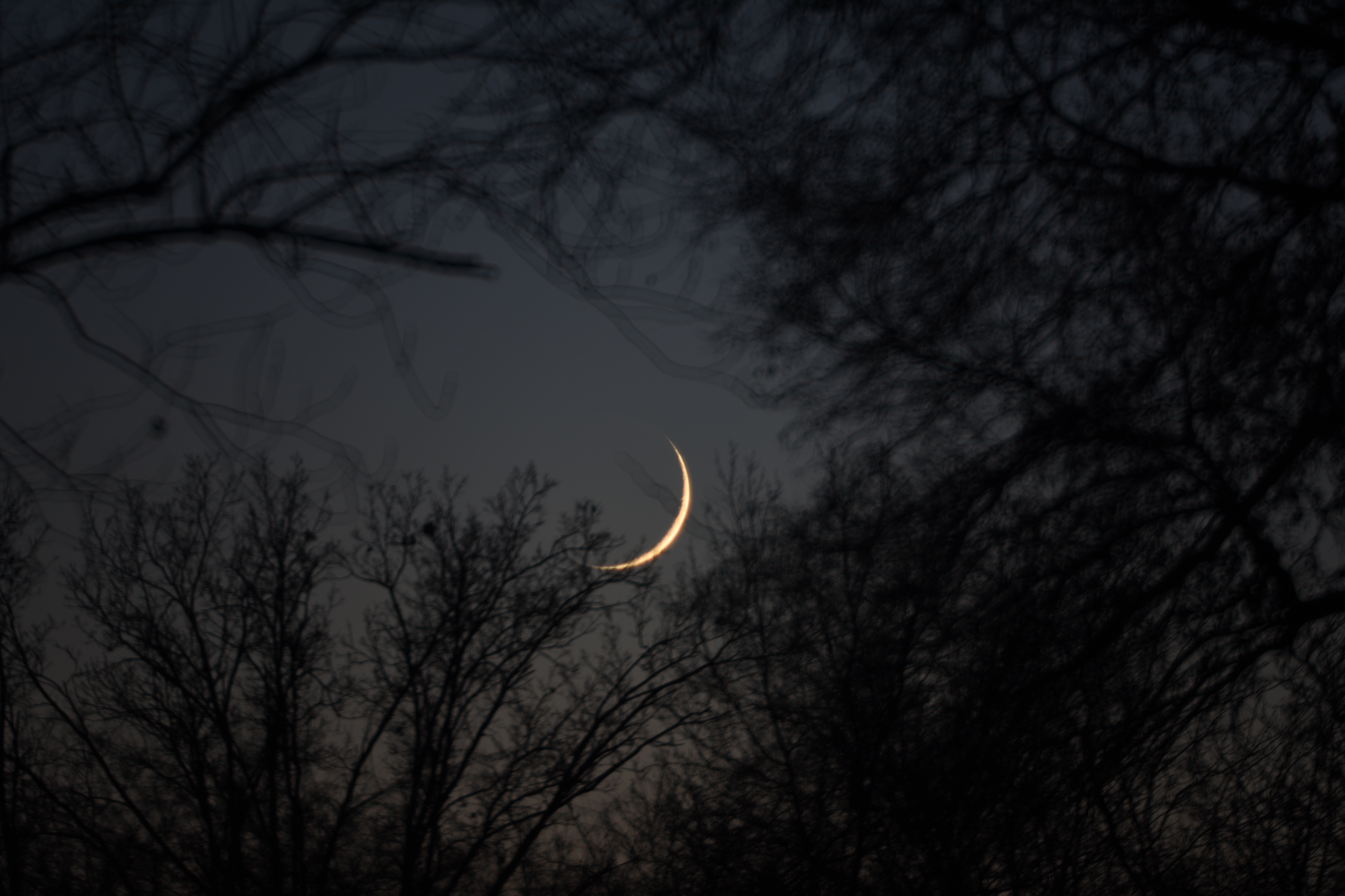 2020, November 16: Crescent Moon, Evening Planets - When the