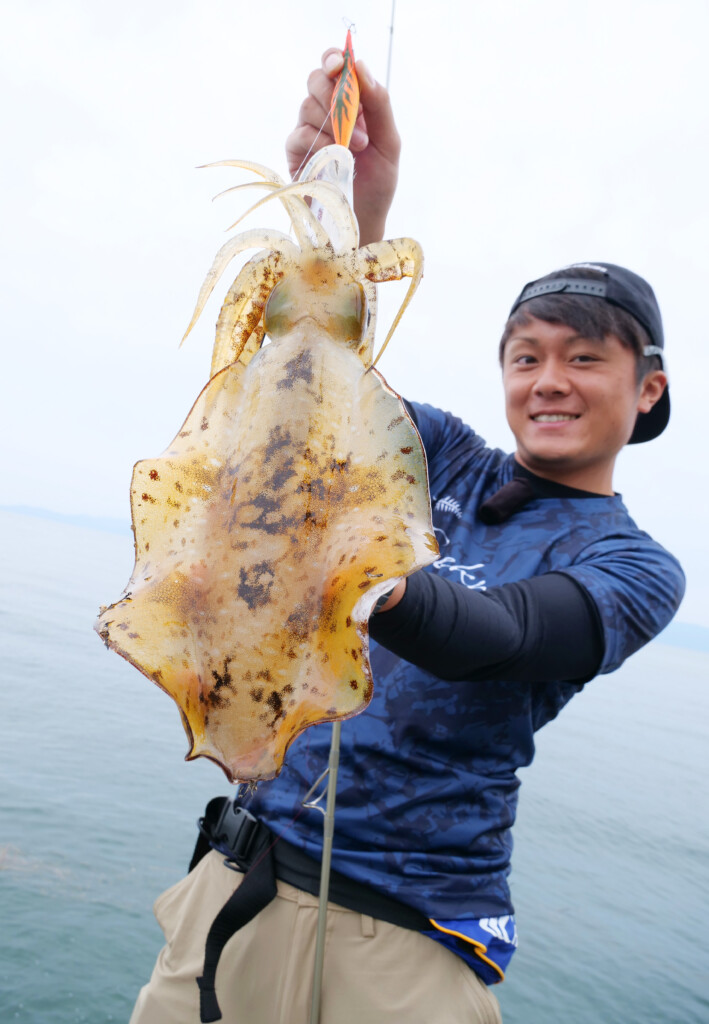 ジャックアイ】新潟東港・サワラスピンでサゴシ祭！ ジャーキングで