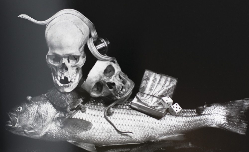 Still Life Irving Penn First Edition Signed