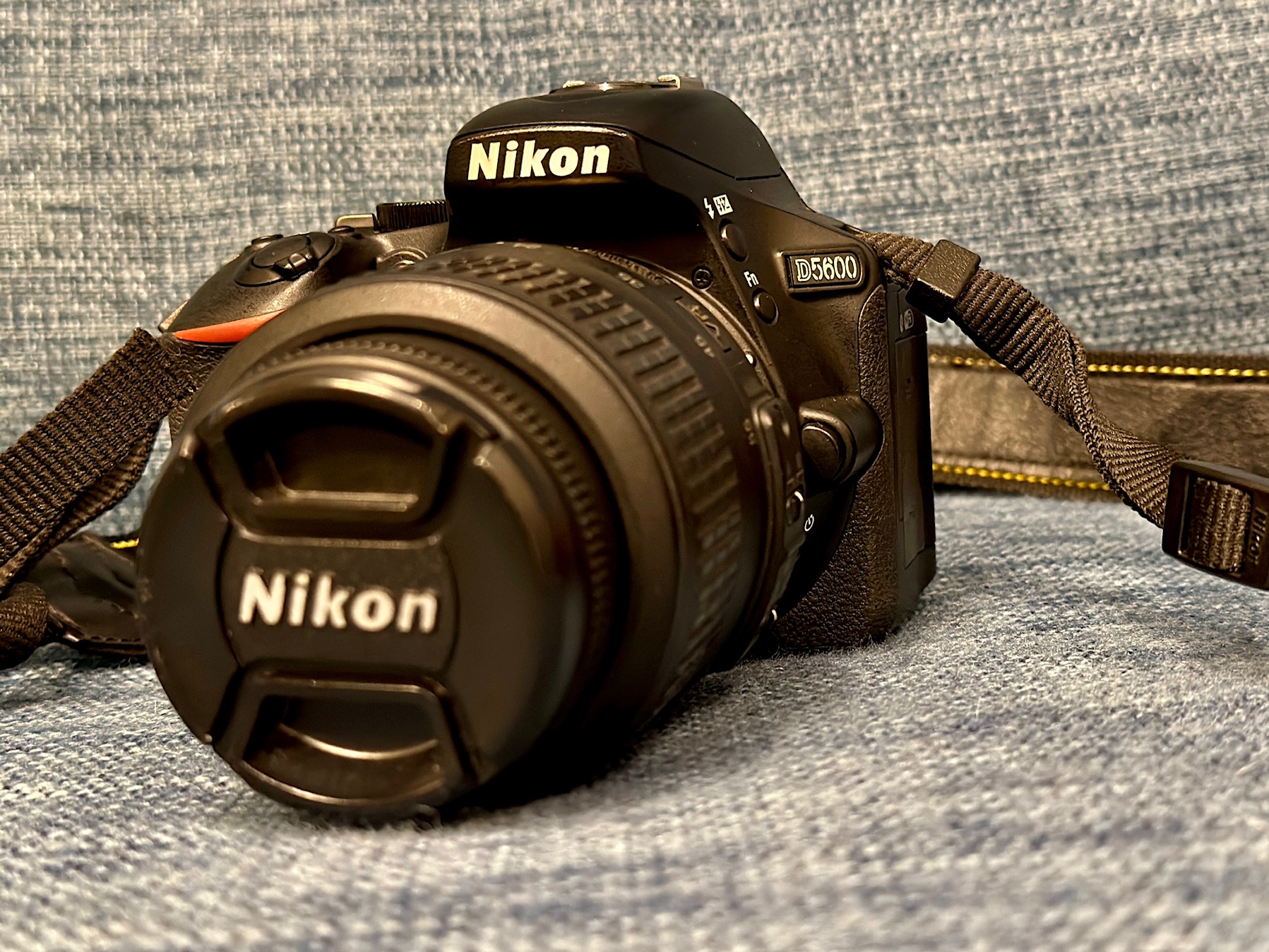 Nikon D5600レビュー】2026年に10年前の一眼レフはあり？今更購入した