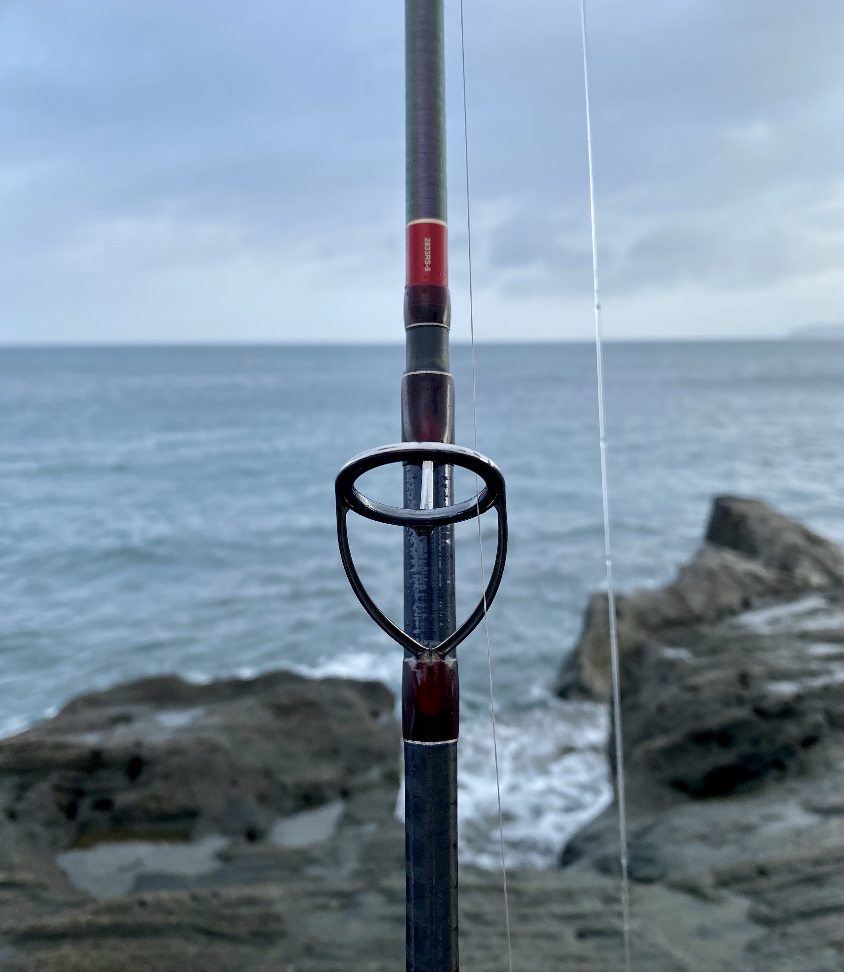 憧れの】21ワールドシャウラ2833RS-5を実際に使ってみた - おれが釣り