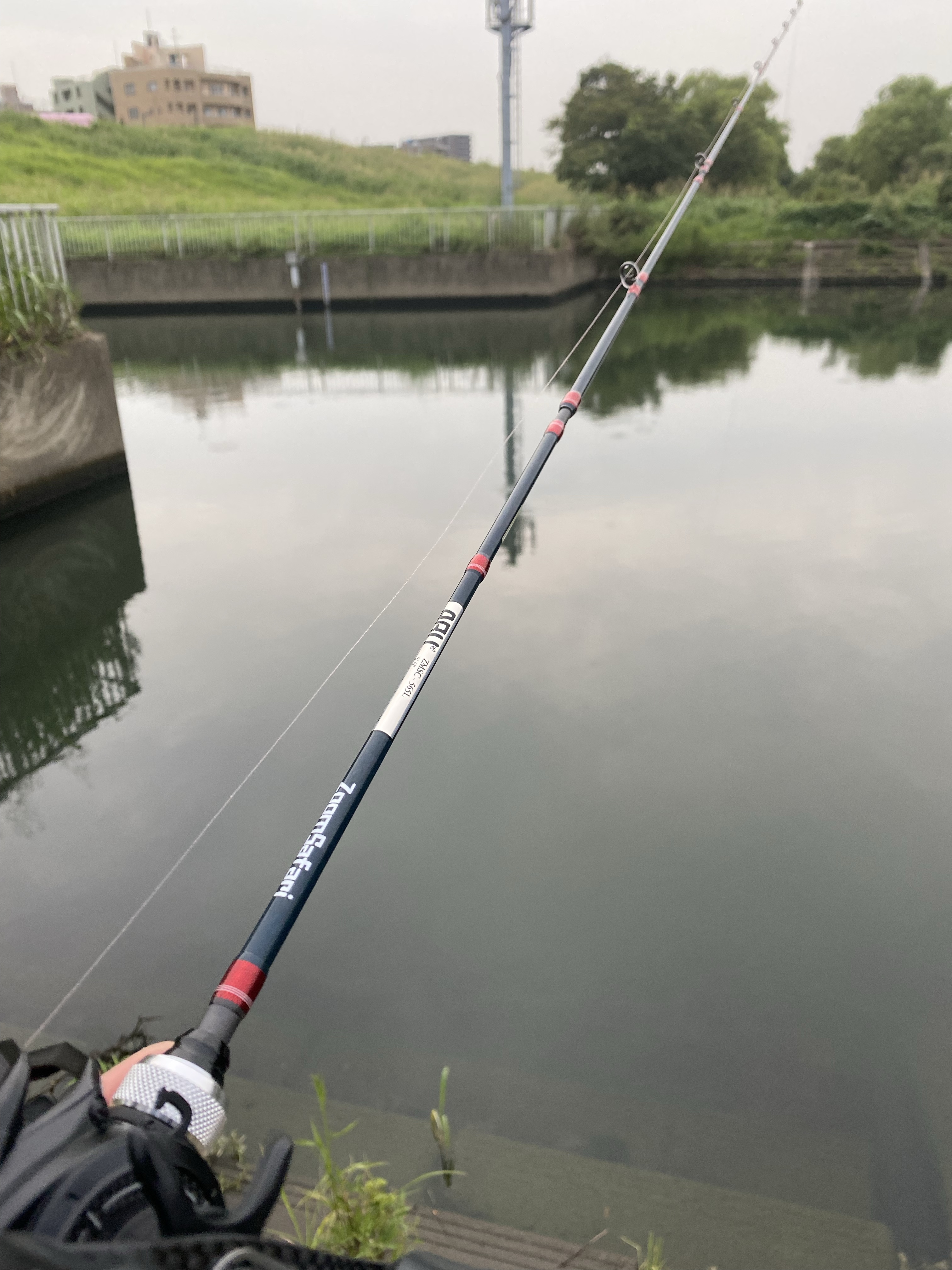 パックロッド】ズームサファリ565Lの投げ感レビュー【ベイトフィネス