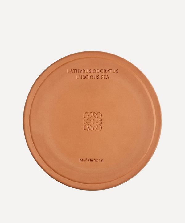 Loewe Large Luscious Pea Candle 2120g | Liberty