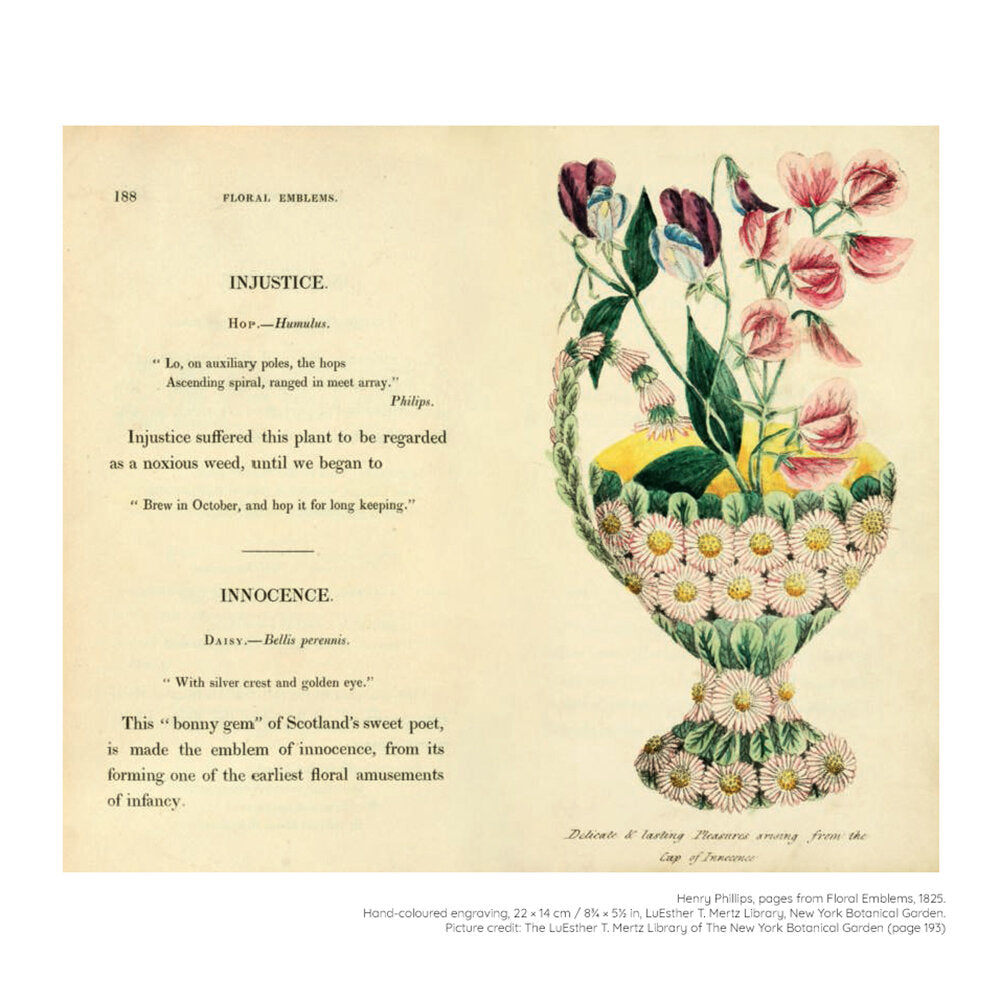 Flower: Exploring the World in Bloom – ICA Retail Store