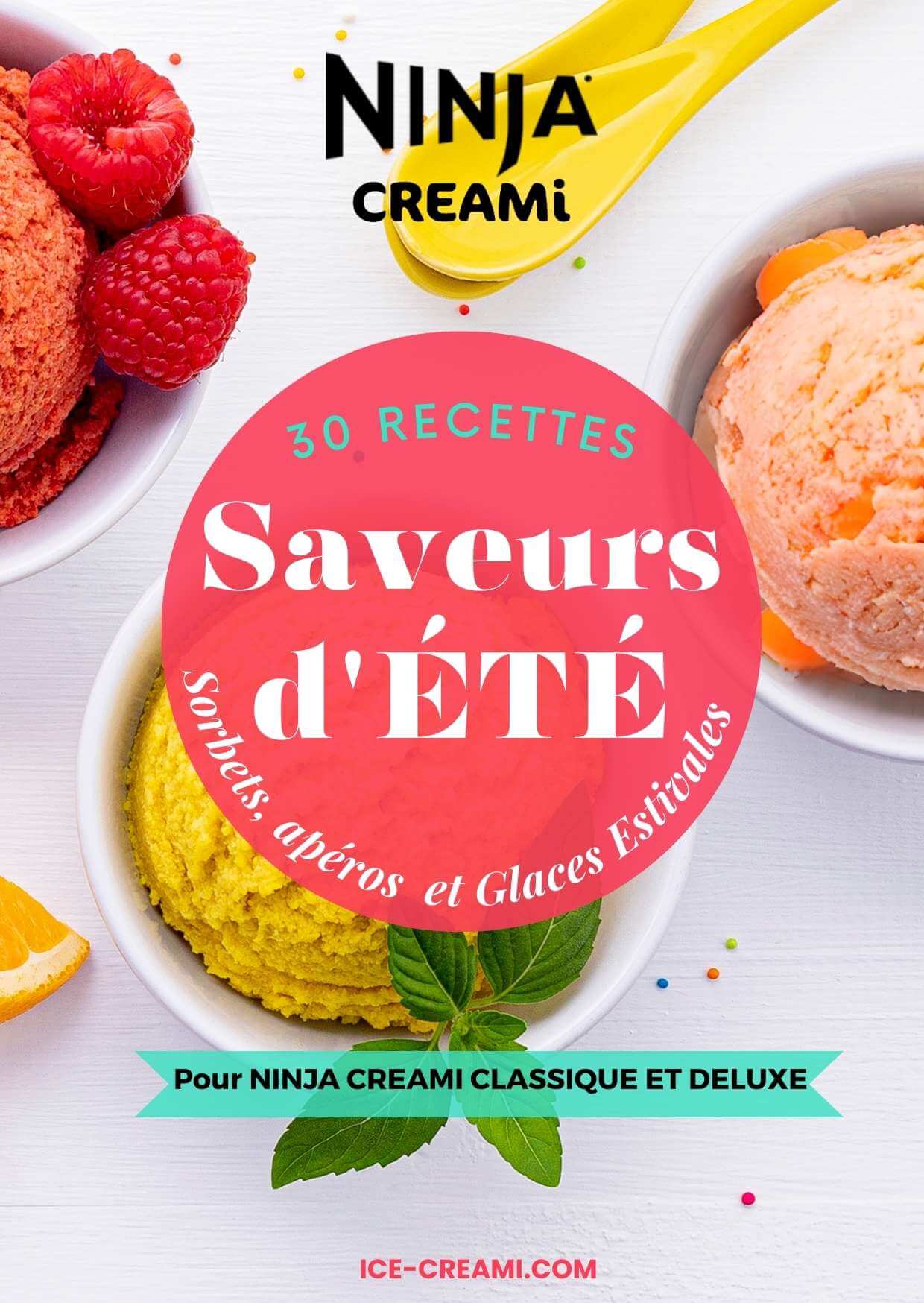 Ebook « Saveurs d'été » Sorbets, Apéros et Glaces Estivales – Ice
