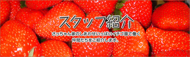 スタッフ紹介 | さっちゃん家の幸せいっぱいイチゴ園