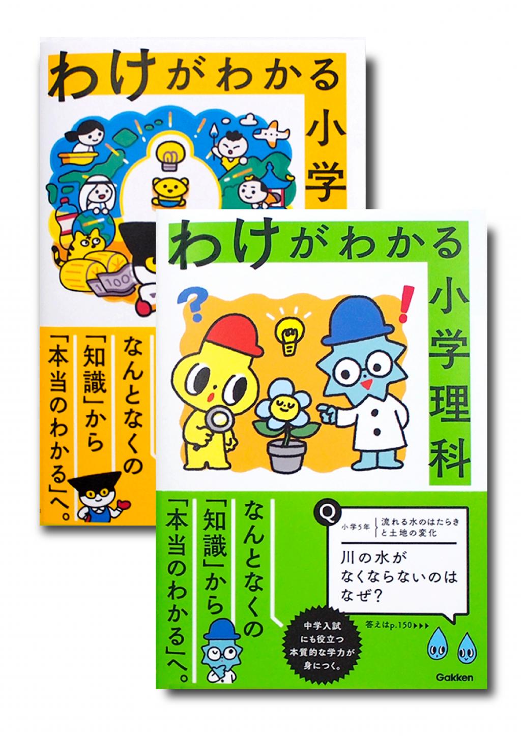 わけがわかる小学