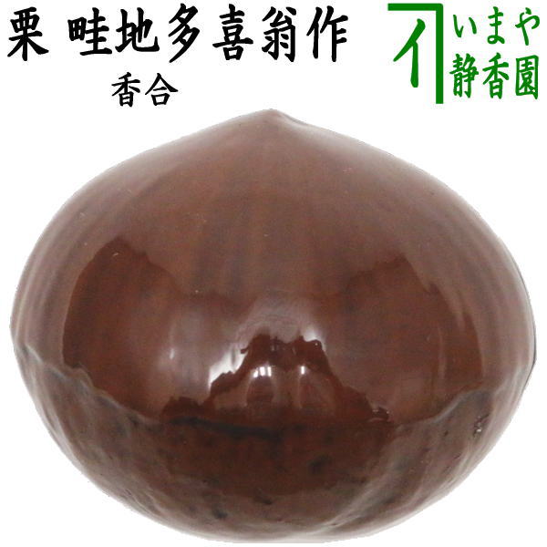 kougou-334_1.jpg?v=1709085334&