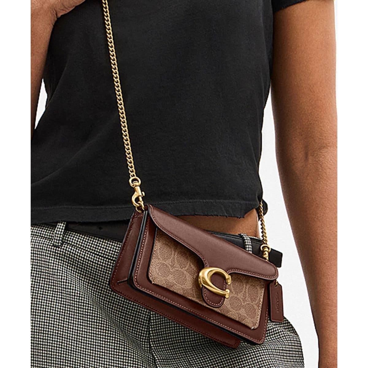 タビー チェーン クロスボディ バッグ 19・シグネチャー キャンバス