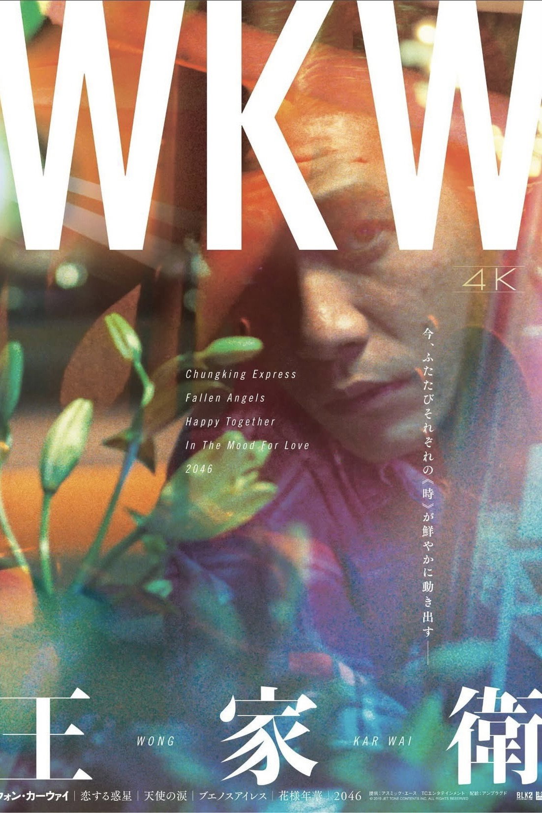 恋する惑星 (1994) - ポスター画像 — The Movie Database (TMDB)