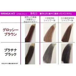 ヨドバシ.com - シラガレスキュー SIRAGA R9 シラガR9(シラガ