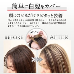 ヨドバシ.com - シートエクステ SHEET EXTE SHEET EXTE ミディアム