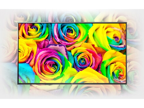 ヨドバシ.com - LGエレクトロニクス 4K対応 43V型液晶テレビ 43UH6500