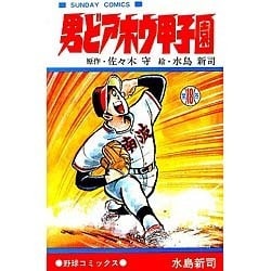 男どアホウ甲子園 全18巻 男どアホウ甲子園 最新 全18巻 野球まんが男