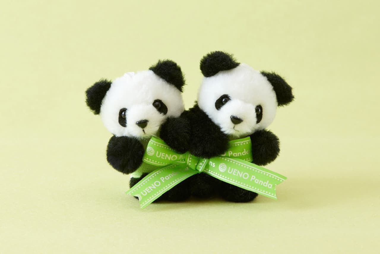 上野動物園 シャオシャオ レイレイ ぬいぐるみセット 双子パンダ 上野