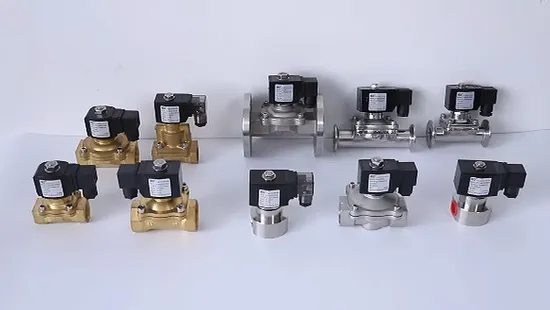 Zx Series SUS304 Pilot-Operated Solenoid Valve - Medium