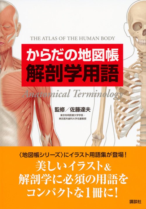 からだの地図帳 解剖学用語 – 丸善ジュンク堂書店ネットストア