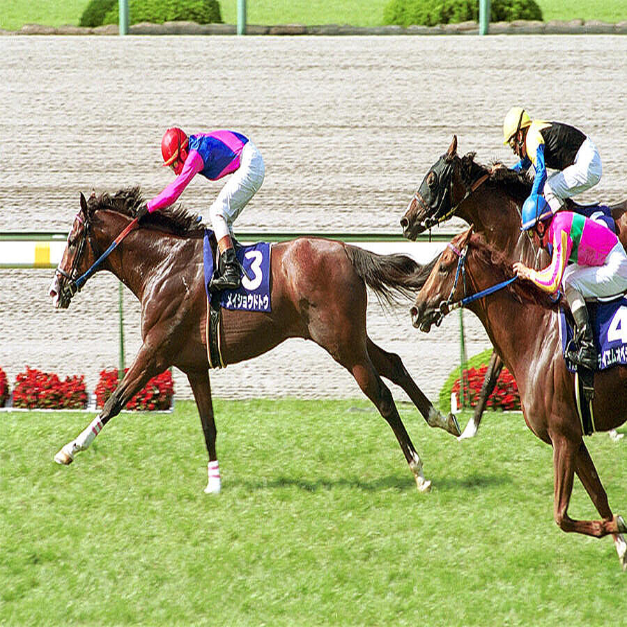 現地単勝2001宝塚記念 メイショウドトウ100円 テイエムオペラオー