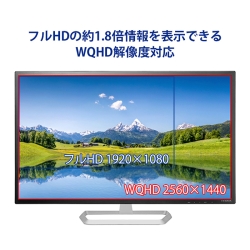 アイ・オー・データ機器 広視野角ADSパネル採用＆WQHD対応31.5型ワイド