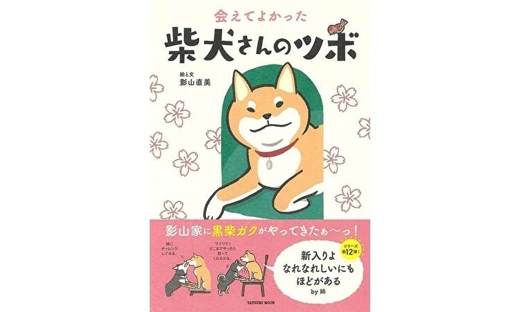 柴犬好きなら誰もが知る大人気シリーズ！「会えてよかった 柴犬さんの