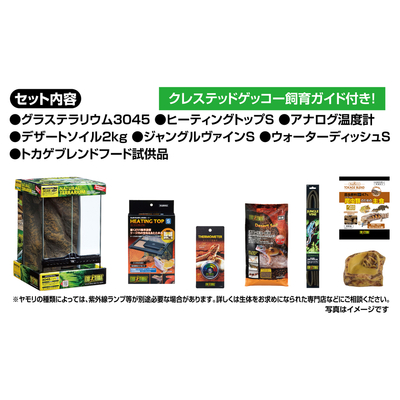 ゲッコー飼育キット GT3045 | ワイルドスカイ通販