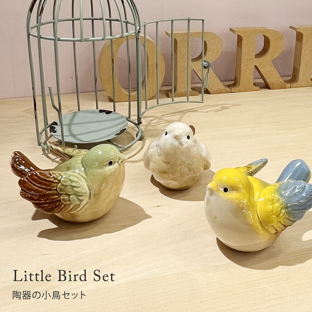 楽天市場】【楽天マラソン限定クーポン配布中】小鳥 コトリ ことり 鳥