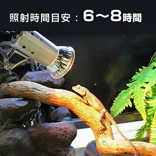 楽天市場】マイクロサン 28W＋マイクロン クリップスタンドセット