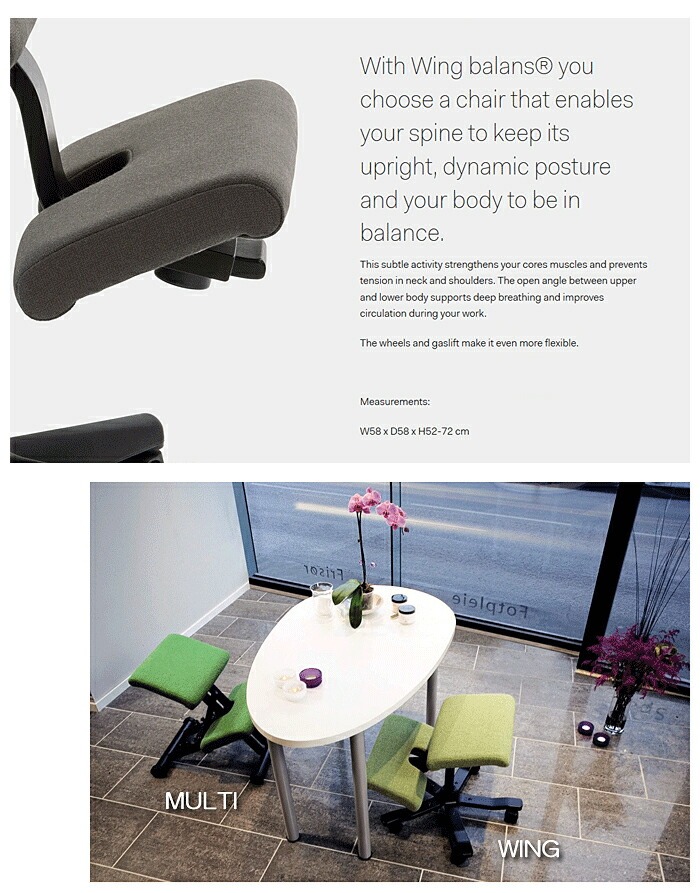 楽天市場】＼ポイント5倍／ バランスウィング ブラック バランスチェア