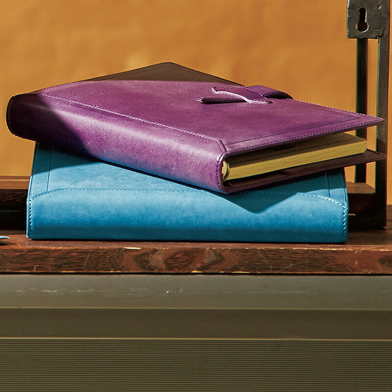 ダビンチ 限定色 ロロマクラシック システム手帳 スギライト