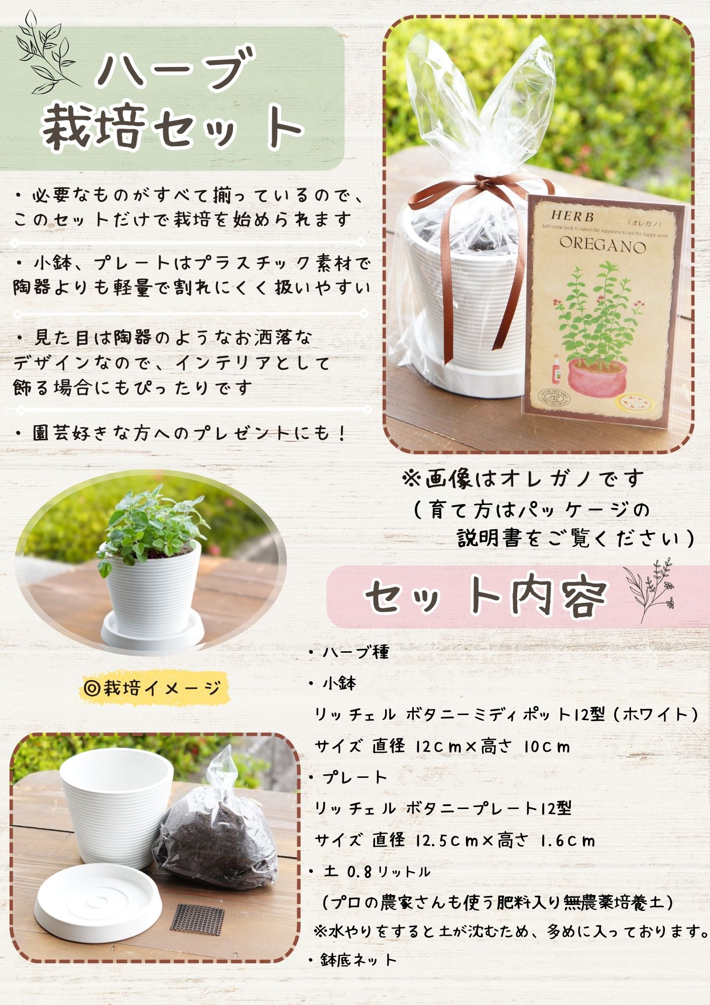 ハーブ栽培セット「ゴールデンパースレイン」 | 【ガーデニング用品