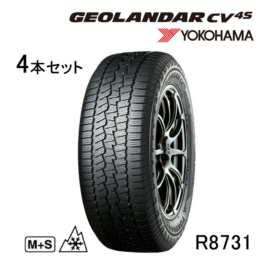 r8731_1.jpg