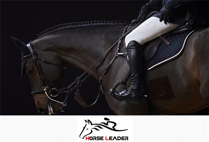 楽天市場】乗馬用品 乗馬ウェア 乗馬用ベスト レディース ベスト