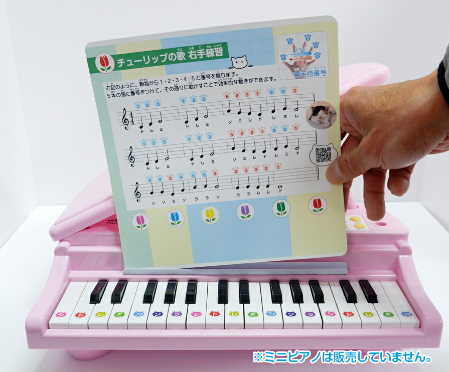 楽天市場】【付属品のみ】31鍵盤 ミニピアノ専用 付属品4点セットミニ