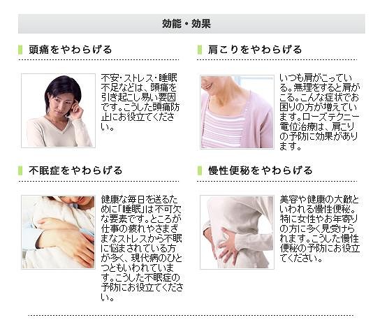 ローズテクニー JNR1003 SGⅡ 西川 ｜岐阜県寝装のわた勇