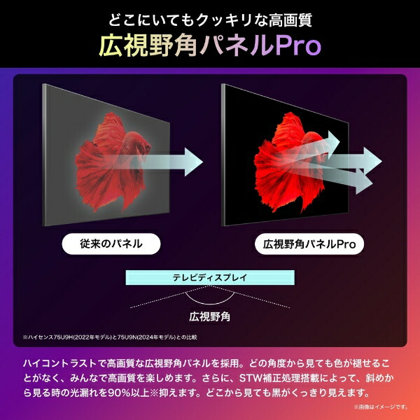 液晶テレビ 【設置込み】 ハイセンス Hisense 65U9N U9Nシリーズ 65型
