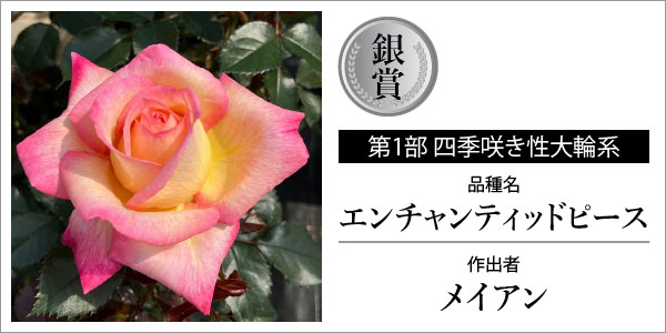 バラの家 公式本店 ロサオリエンティス【バラ苗 専門店】 日本ばら会