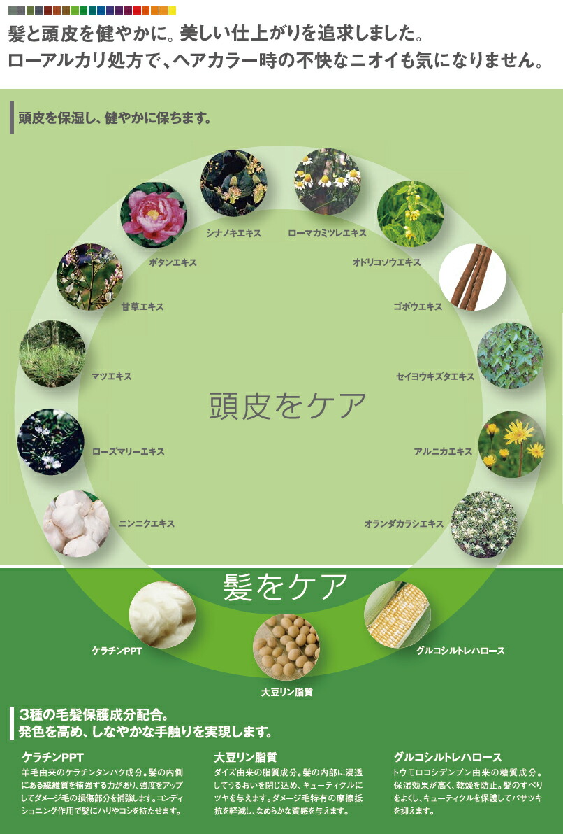 楽天市場】フィヨーレ BLカラー [ ニュートラル 3NN ] フィオーレ 楽天