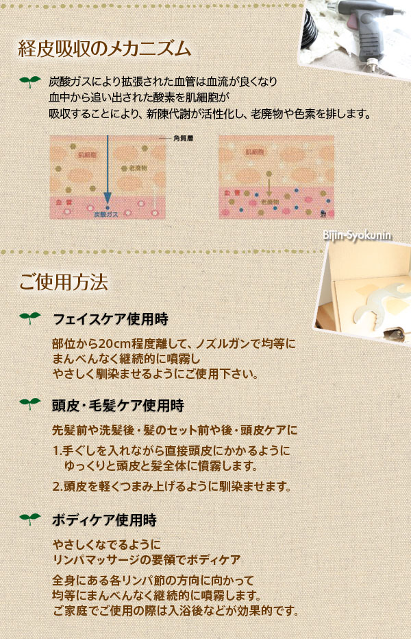 楽天市場】【あす楽】炭酸ミスト 炭酸ミストシャワーをプロユースに