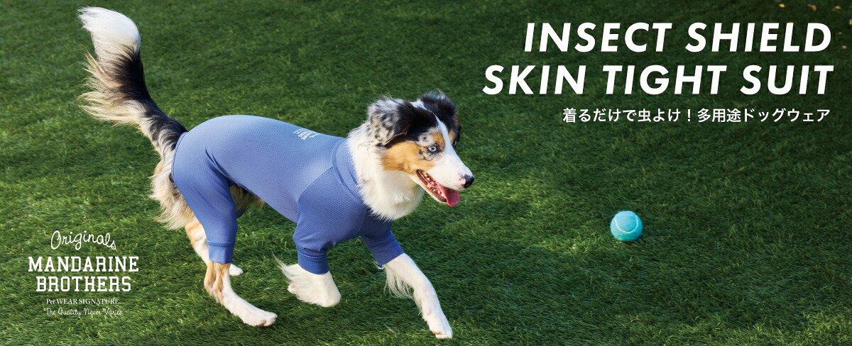 2026年春夏新作第一弾が入荷しました🐶