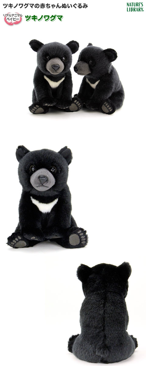 楽天市場】クマ ぬいぐるみ ツキノワグマ リアルアニマルベイビー
