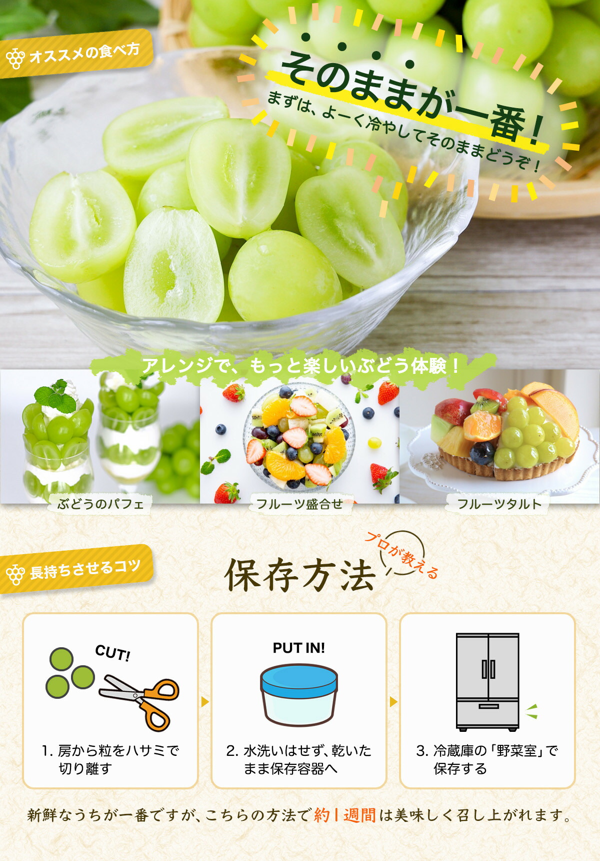 楽天市場】【ふるさと納税】【2026年発送分先行予約】シャイン