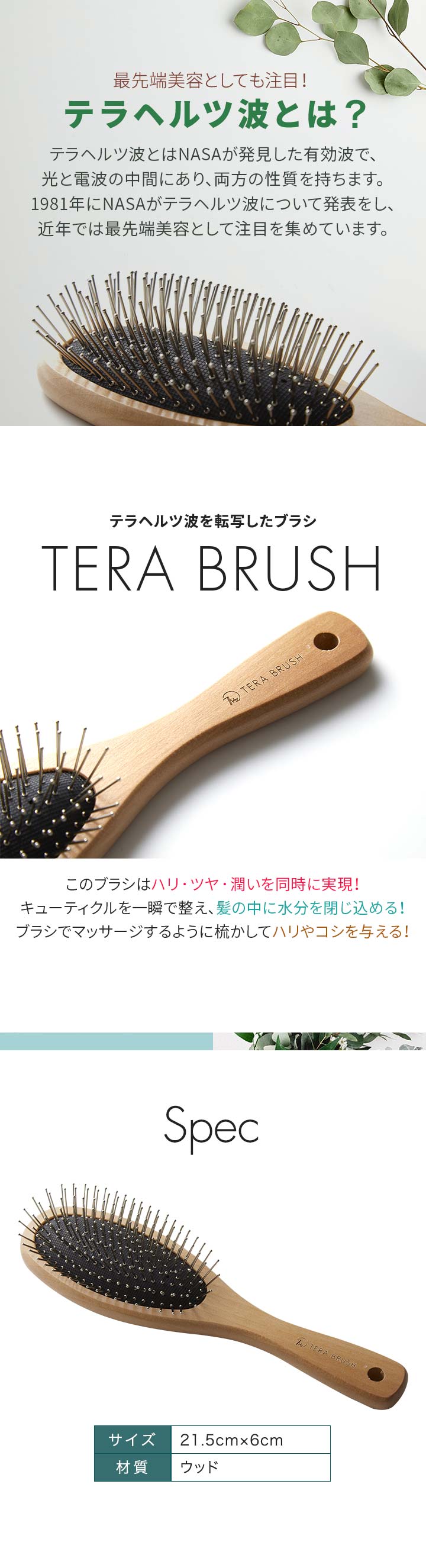 楽天市場】正規品 TERA BRUSH テラブラシ 21.5cm 木製 ヘアーブラシ