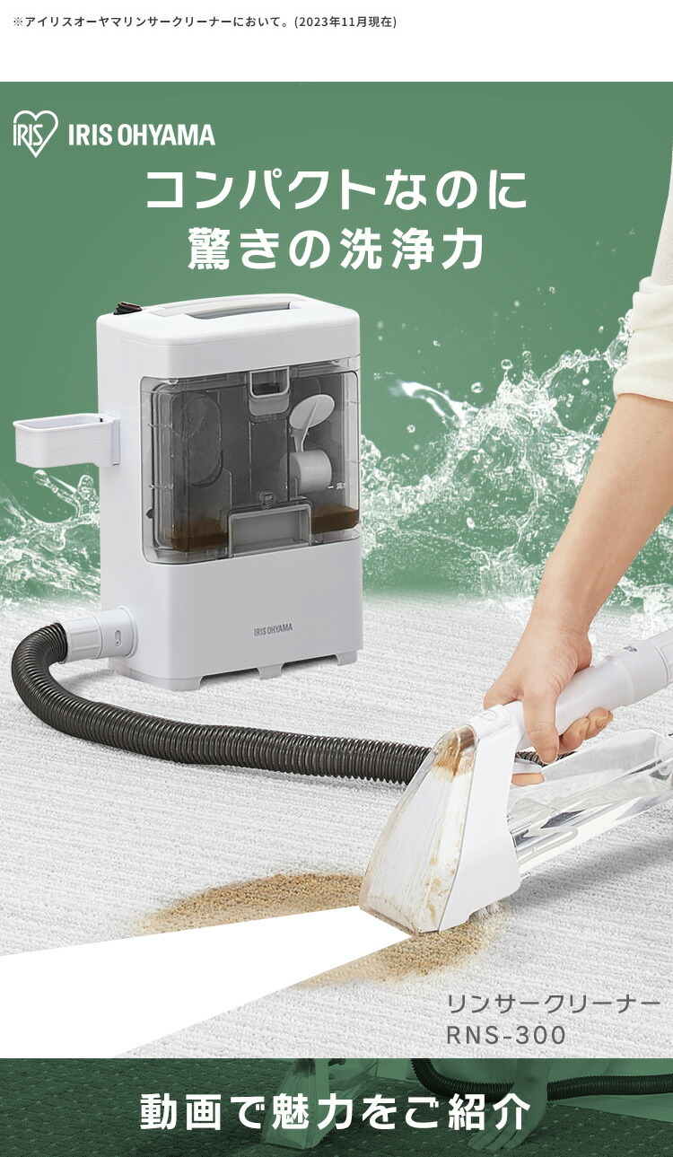 リンサークリーナー RNS-300