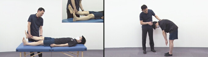 楽天市場】下肢における絞扼性末梢神経障害の評価と治療～神経系