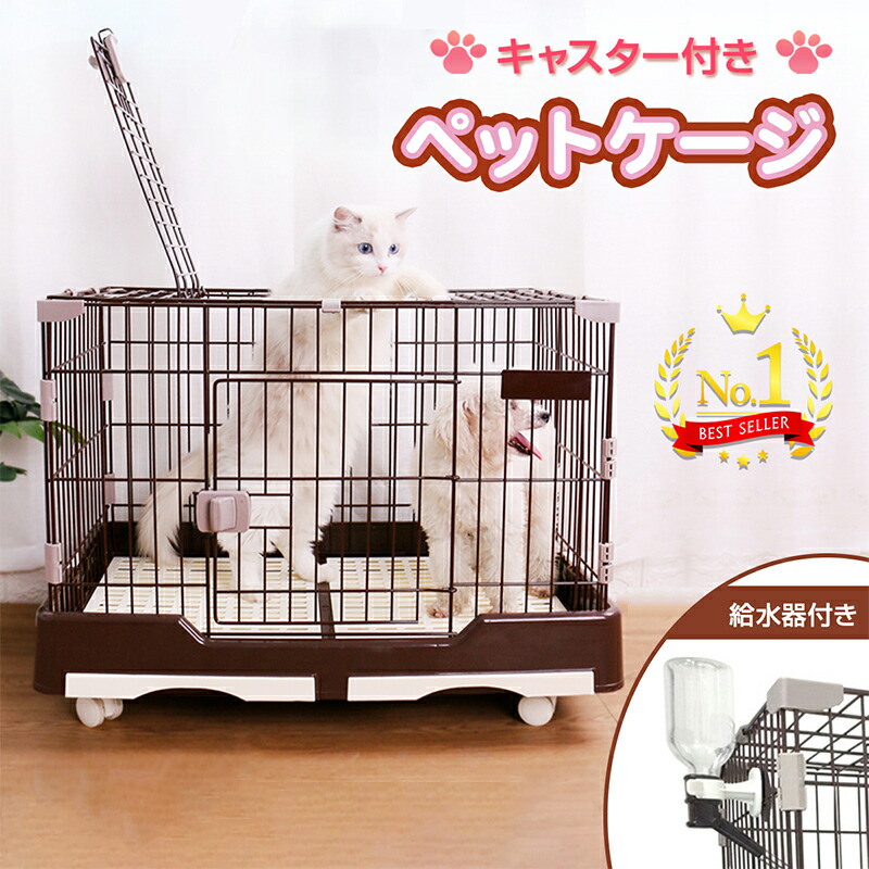 楽天市場】【週末SALE⇒10%OFF】RAKU 楽天1位 給水器付 うさぎの