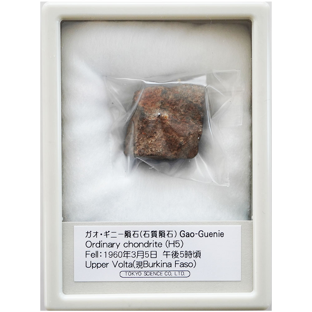 楽天市場】ギベオン隕石 1836年 ナミビア Gibeon OCTAHEDRITE(IVA