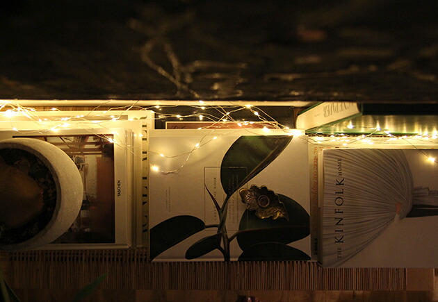 SWAN (スワン電器) Another Garden LED スパークラーフック 2m×10本/3m