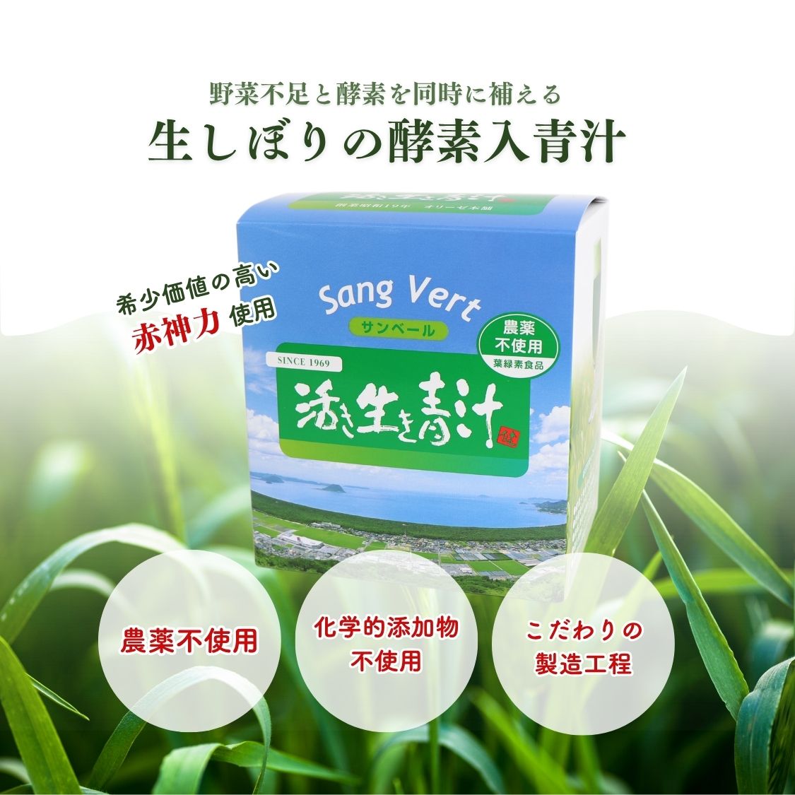 サンベール 活き生き青汁 大麦若葉エキス青汁