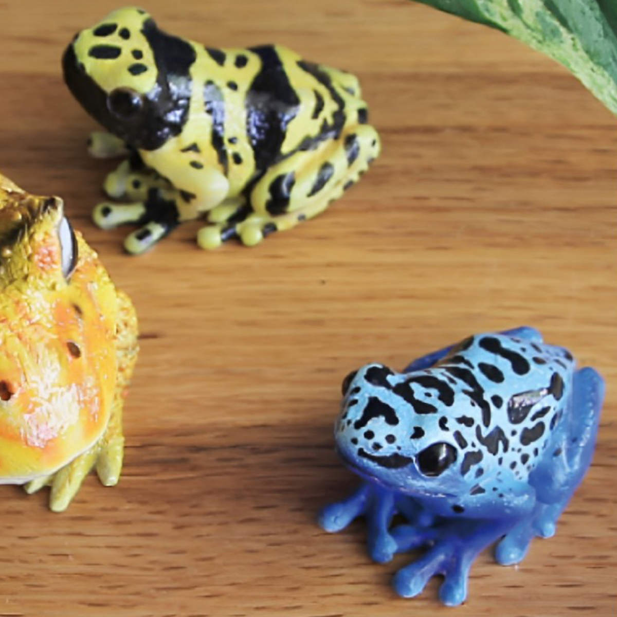 楽天市場】オブジェ REPTILES MAG ヤドクガエル アマガエル