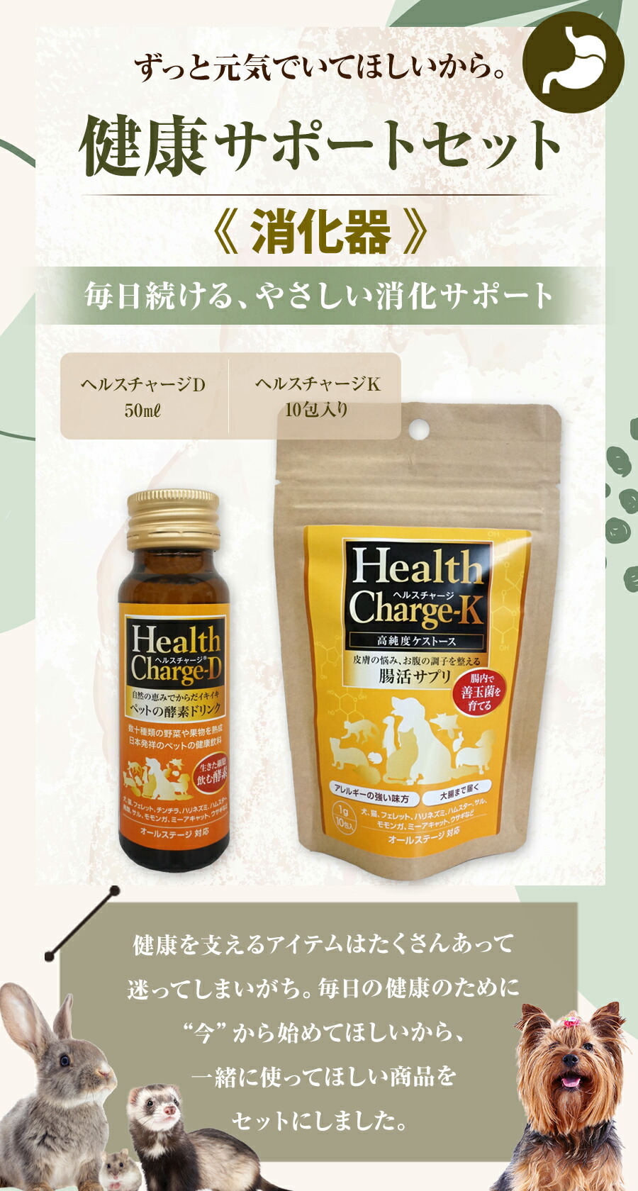 セット商品】健康サポートセット 消化器 ヘルスチャージ-D+ヘルス